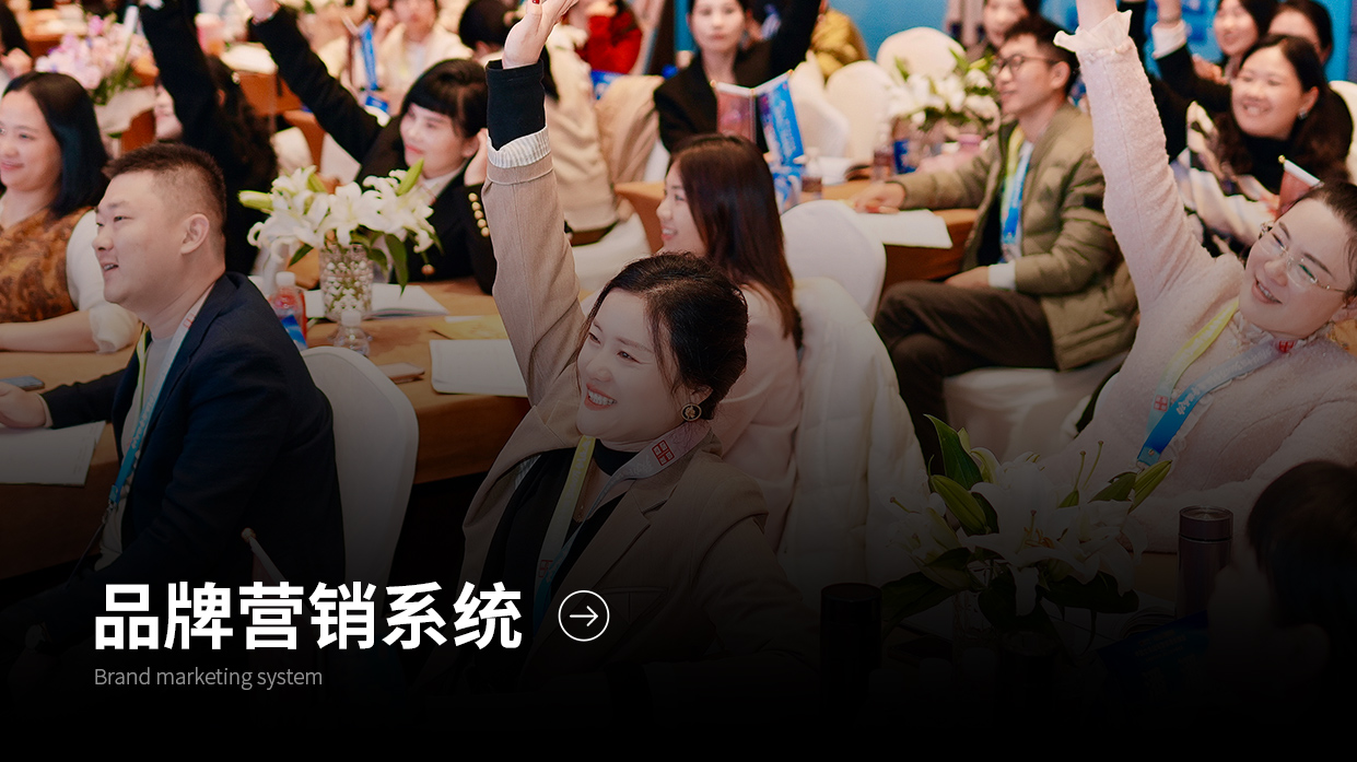 品牌营销系统