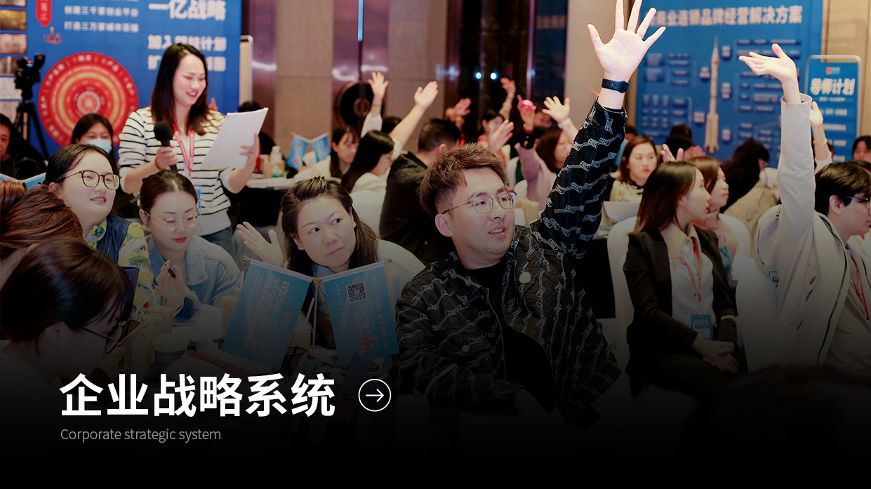 企业战略系统