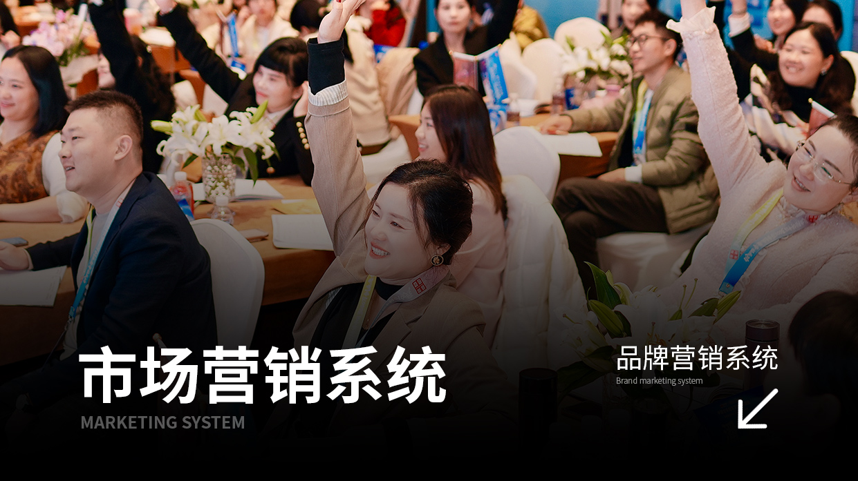 市场营销系统
