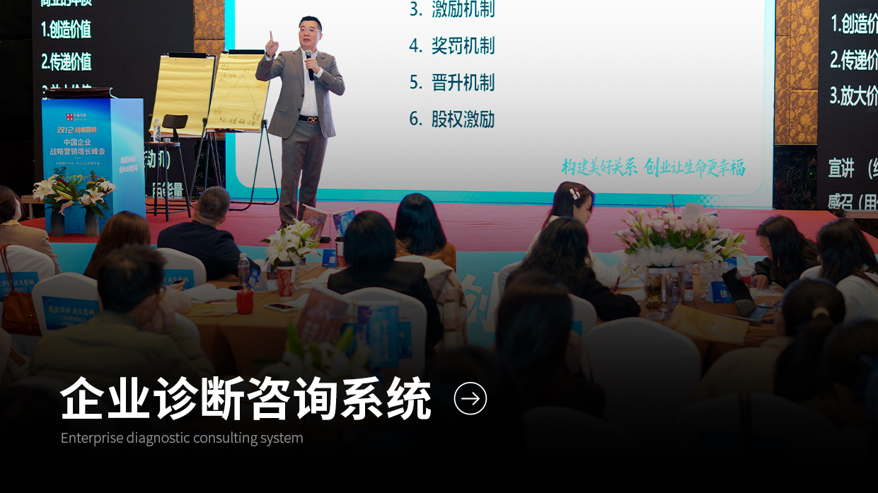 企业诊断咨询系统